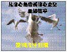 ��4�������ڻ������������֣������ĽǶȿ�����֮��