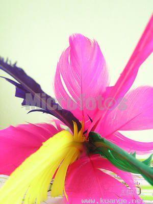 5fd6f07fg9516c0933bbd&690.jpg