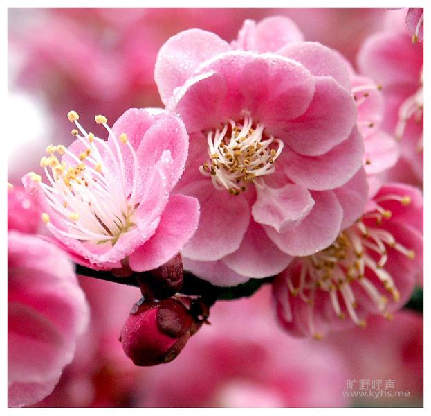 ��һ�꣺��������лл��