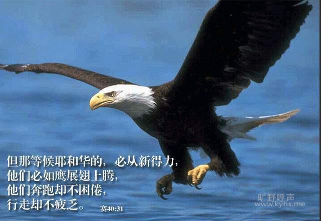 �������ּ��