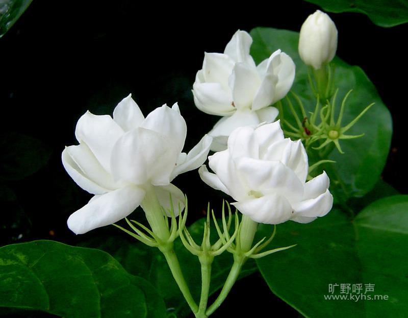 Ү�ձ����Ǹж�