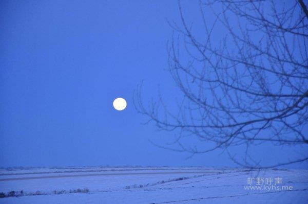 _DSC4684.jpg