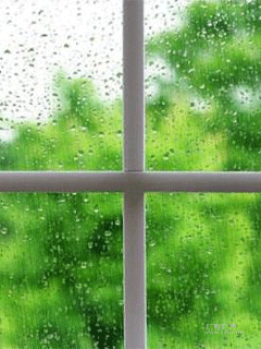 12060509459990e8997fc35521.gif