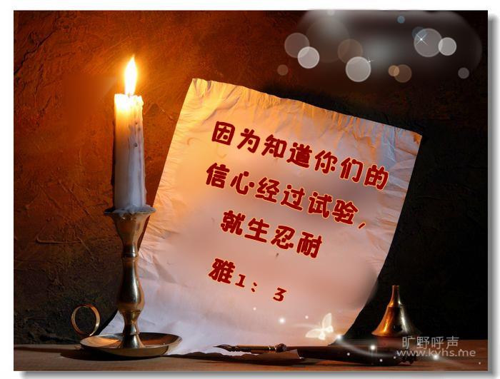 ��������ϲ��