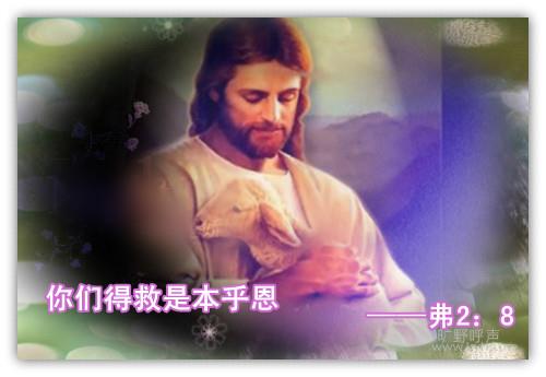 �þ���ȫ�ں�����