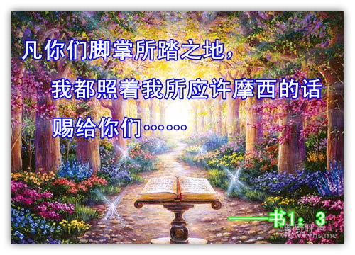 �ҵĲ�ҵʵ������