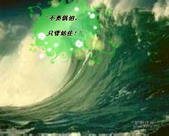 ����Ҫ��Ϣ��Ҫ֪��������