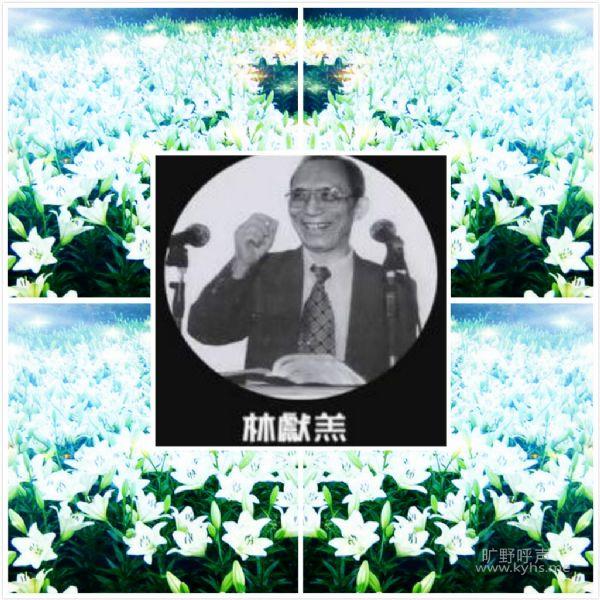 �廳�������׸�
