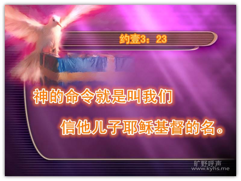 ���ŵ�����
