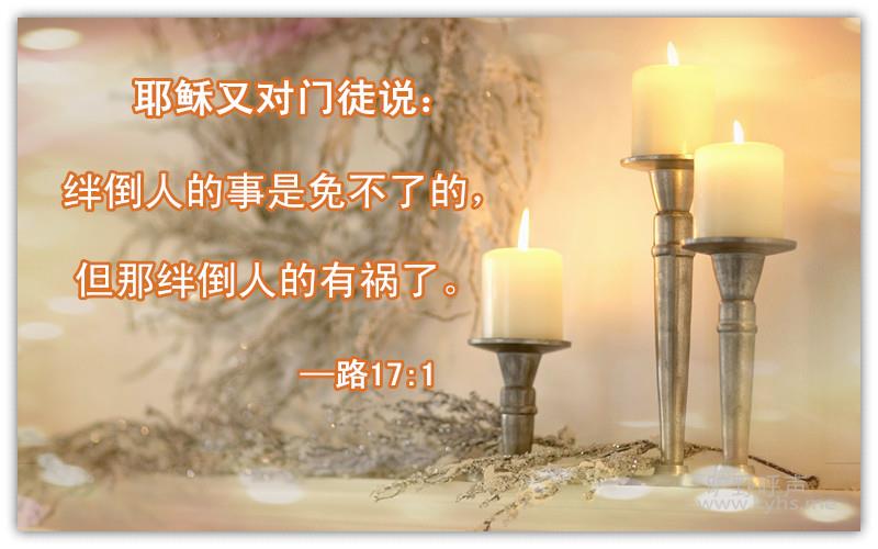 jisuxz_candlelight3_����.jpg