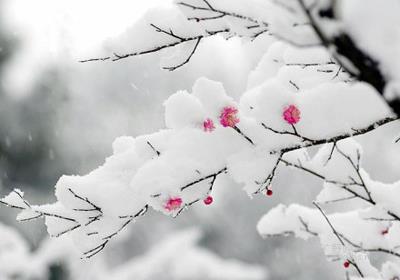 ʯ��ʿ��ʥ������Զ�ͬ������ʿ�Ի�.jpg