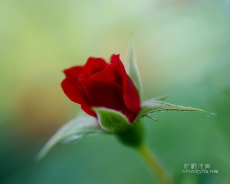 d8f9d72a6059252d9d312fea359b033b5bb5b93d.jpg
