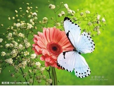 ĩʱ������ΪʲôҪ��ʳ������