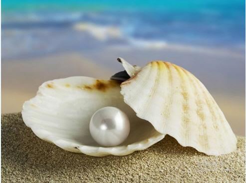 �ؼ۵�����  �ر��ı���