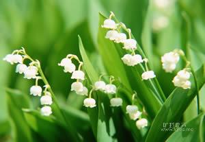 201061143433127.jpg