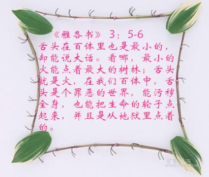 13529B5NC40-15AG5_����.jpg