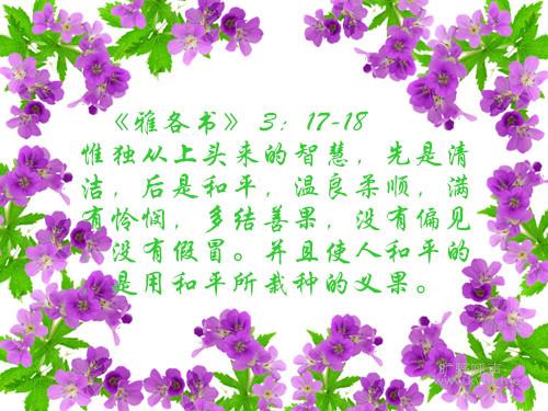 292-1102230KQ779_����.jpg