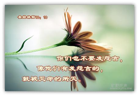 ��Ҫ��Թ��