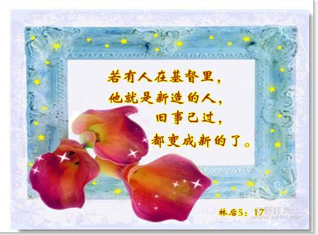1404042130f5813772b8fde81f_����_����.jpg