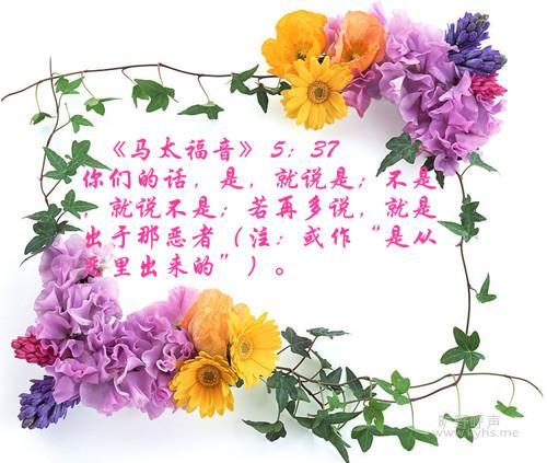200821792623160_2_����.jpg