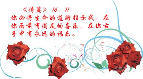 OOOPIC_zhuangliuyun_20090904cec9151a93534763_����.jpg