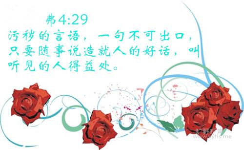 OOOPIC_zhuangliuyun_20090904cec9151a93534763_����.jpg