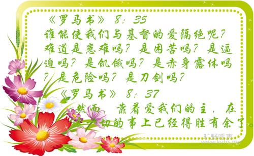 6307-1201111Q53312_副本.jpg