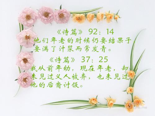 35_����.jpg