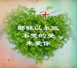 �����ġ������롰�ǡ�