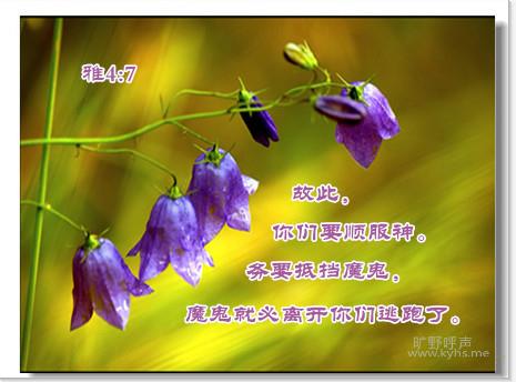 1404042130f5813772b8fde81f_����.jpg