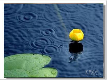 QQ��ͼ20140620160951.jpg