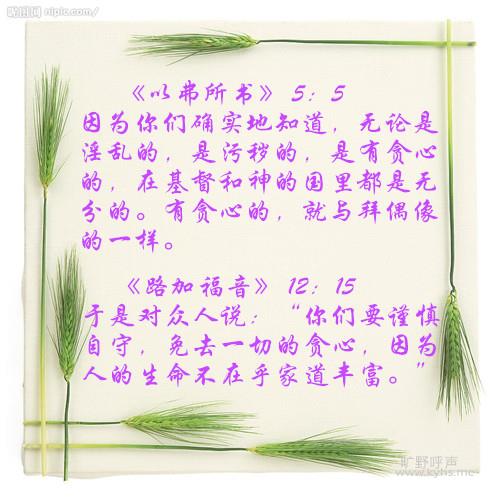 20081181119197_2_����.jpg
