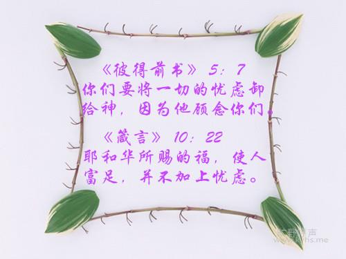 13529B5NC40-15AG5_����.jpg