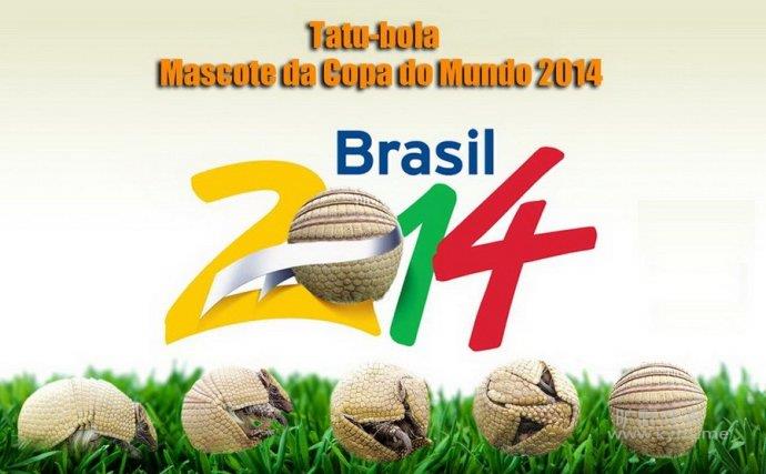 2014���籭�������Ү�ͻ�