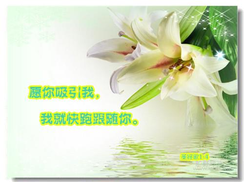 T1XlLFXlBhXXaV9DZ8_102056_����_����.jpg