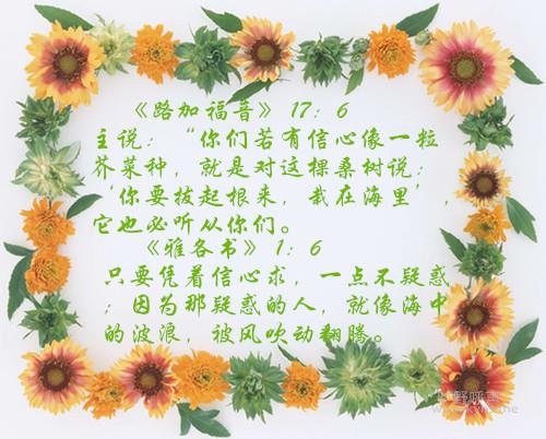 063_����.jpg