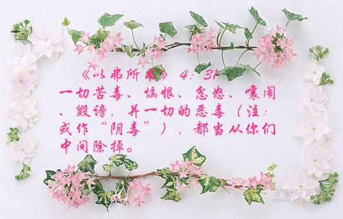 2007113010025580_2_副本.jpg