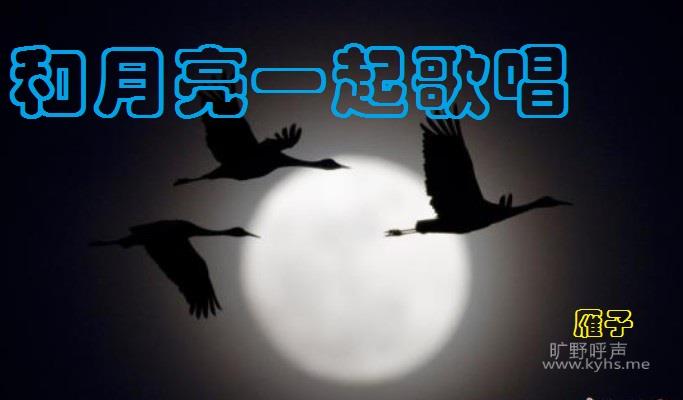 ������һ��質
