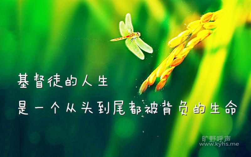 ������ʶ�񣺽��ص�ж����