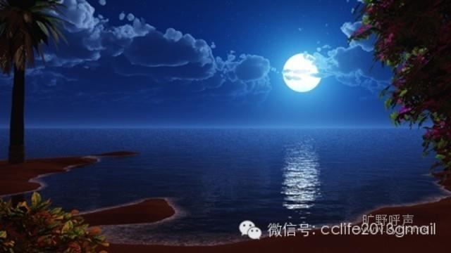 ���ҵ����ˣ��ֵ�������Բʱ����