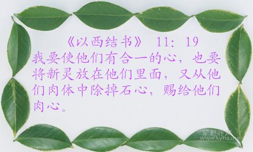 49_����.jpg