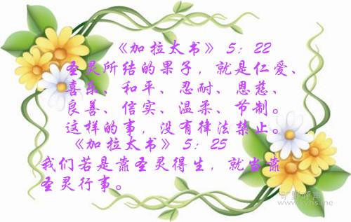 0959442_����.jpg