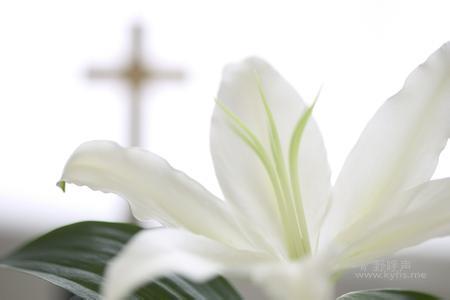 �ҵ��ϰ���Ү��