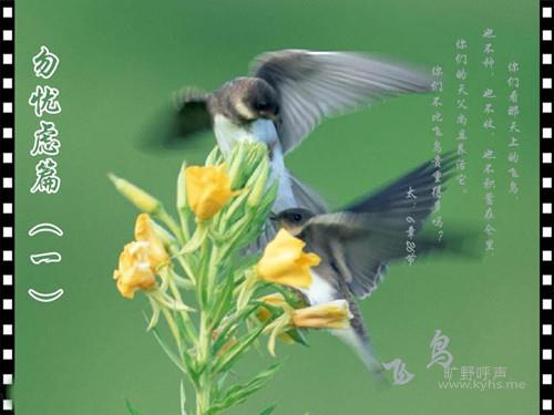 201105092216044145_����.jpg