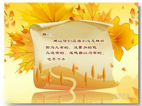 ����Ӧ��С��������