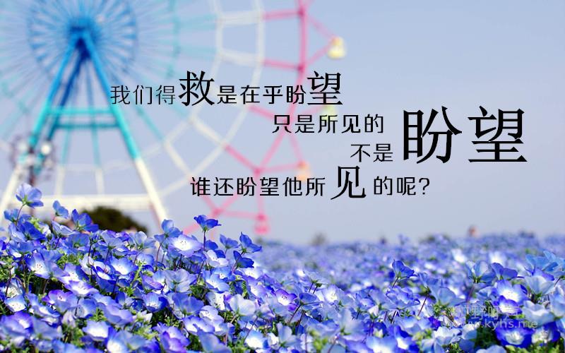 �����飺��������