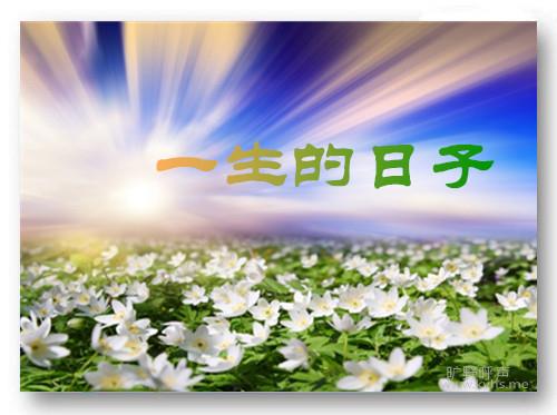 һ��������