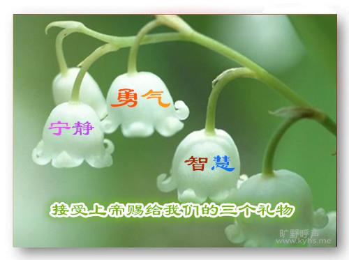 �ϵ۴͸��ҵ�����Ͷ���ǻ�
