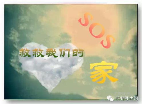 �Ⱦ����ǵļ�