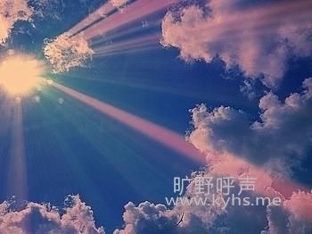 ������Ƥ��